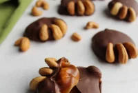 Chocolate Caramel Cashew Bear Claws