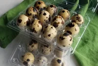 Quail Egg Delights: Masterful Tips and Creative Recipes