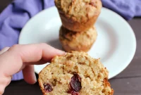 Cultured Cranberry Oatmeal Muffins