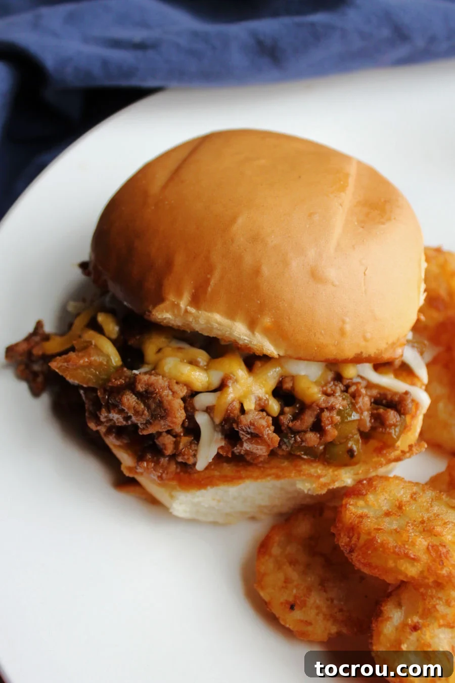 Cheesy Sloppy Joe and Tots Delicious cheesy sloppy joe on a toasted bun, with crispy tater tots scattered nearby, showcasing a hearty and satisfying meal.