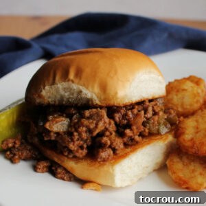 Toasted bun filled with crumbly sloppy joe mixture, with tater tots and a pickle on the side.