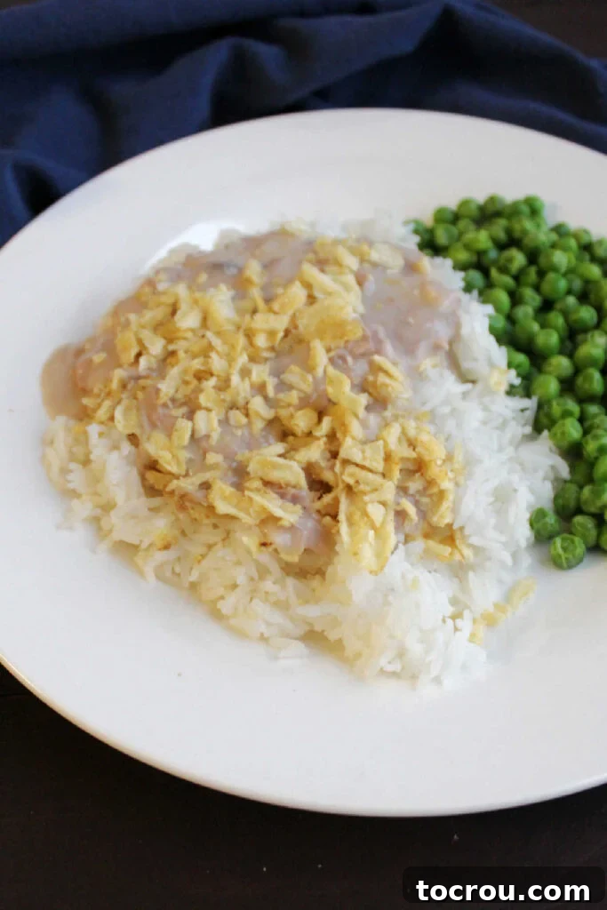 Mimi's Signature Tuna Bake 6 A close-up shot of the creamy tuna casserole, rich with mushroom soup and tuna, nestled atop a bed of white rice and garnished with crispy potato chips, inviting a bite.
