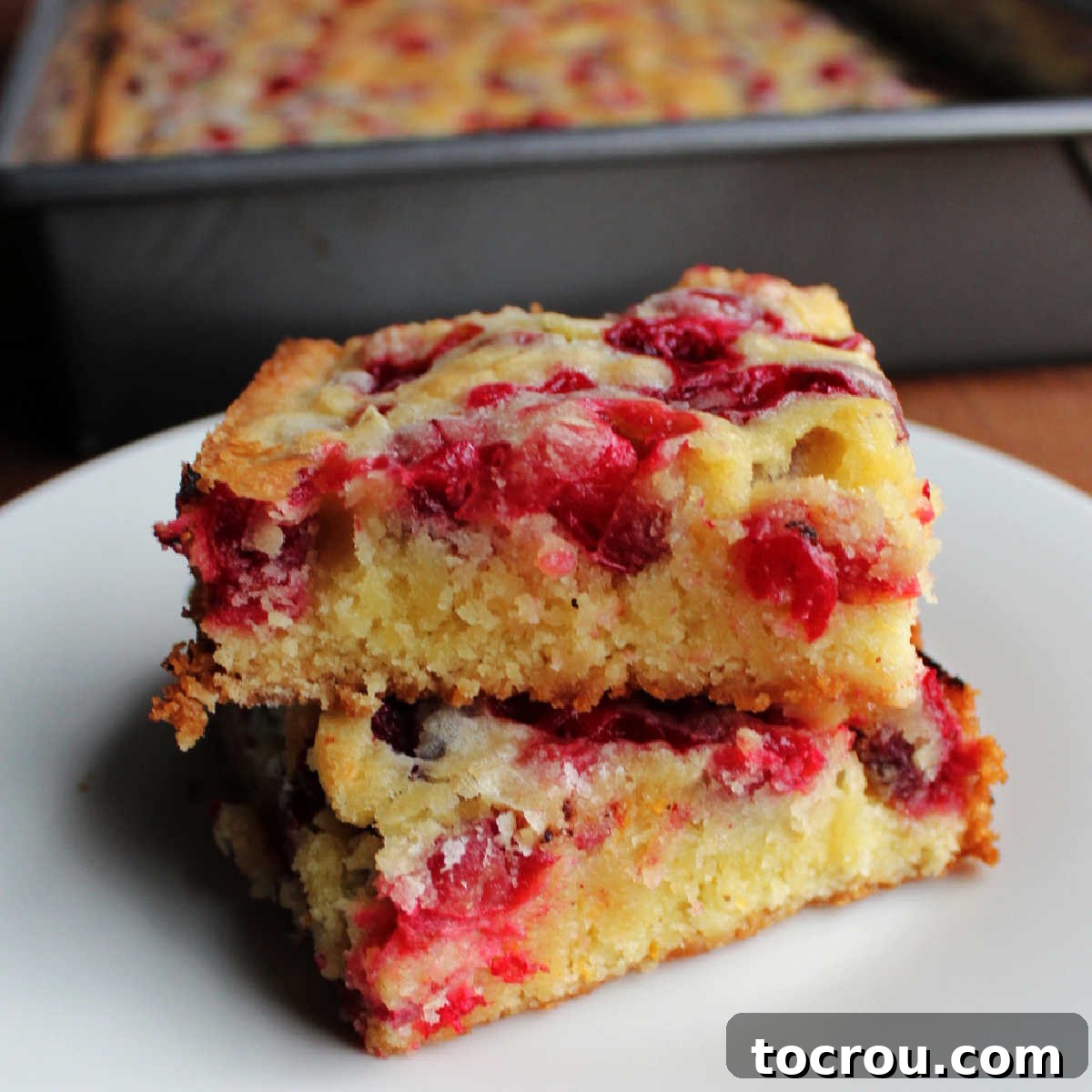 Easy Cranberry Snack Cake: A Simple & Delicious Holiday Treat Two golden cranberry snack cake bars, generously dotted with bright red cranberries, stacked beautifully against a soft background.