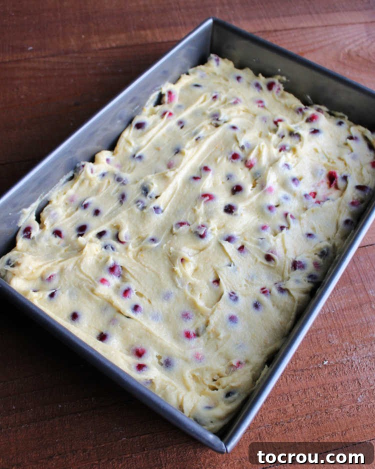 Cranberry Cake Ready to Bake Smooth cake batter, richly speckled with whole cranberries, evenly spread in a baking pan, poised for the oven.