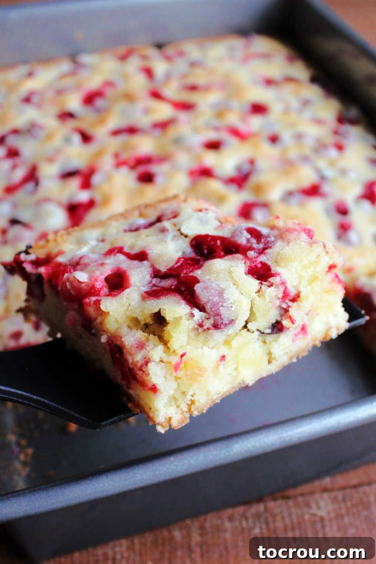 Warm Cranberry Snack Cake Fresh from the Oven A golden brown piece of cranberry snack cake being lifted from a baking pan, showcasing its soft interior and vibrant cranberry bursts.