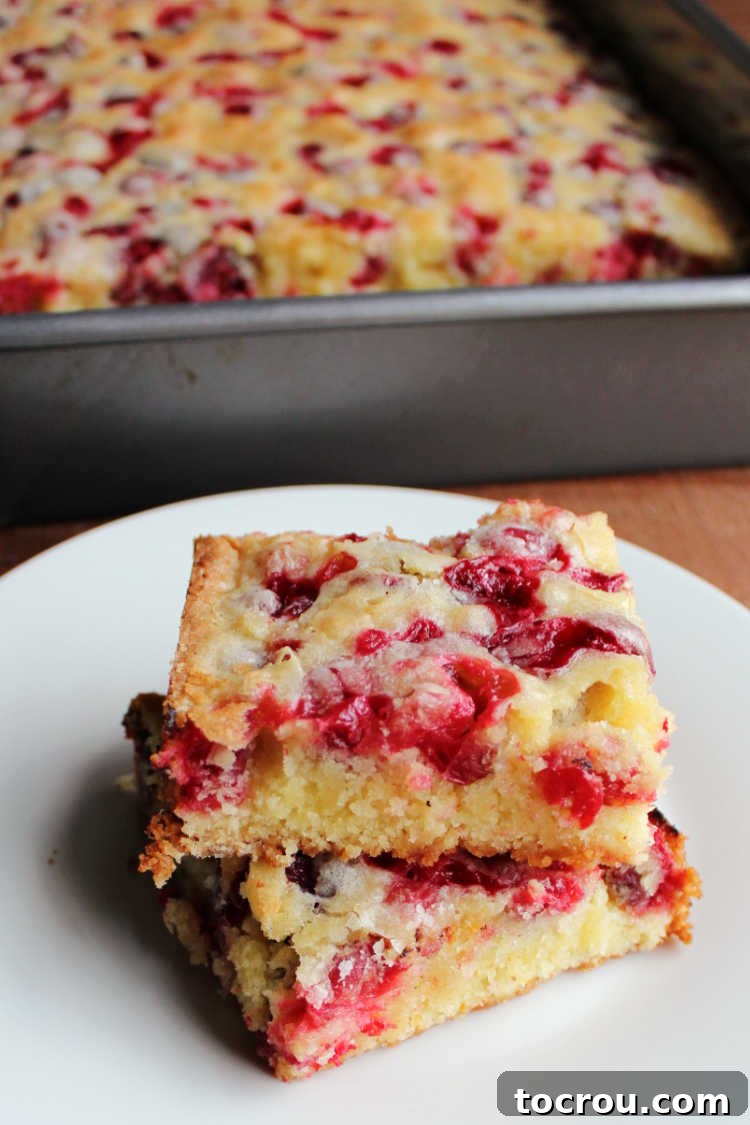 Perfectly Sliced Cranberry Snack Cake Two beautifully baked cranberry snack cake slices, featuring golden crusts and visible cranberries, stacked in front of a baking pan.
