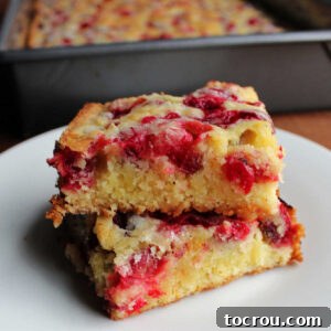 Delicious Cranberry Snack Cake Bars Two golden cake bars dotted with fresh cranberries, stacked elegantly.