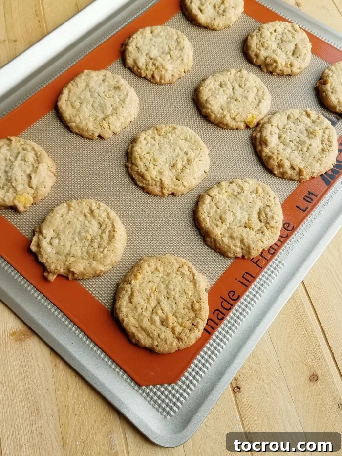 A close-up shot of freshly baked Frostbite cookies, golden brown and perfectly textured, straight from the oven.