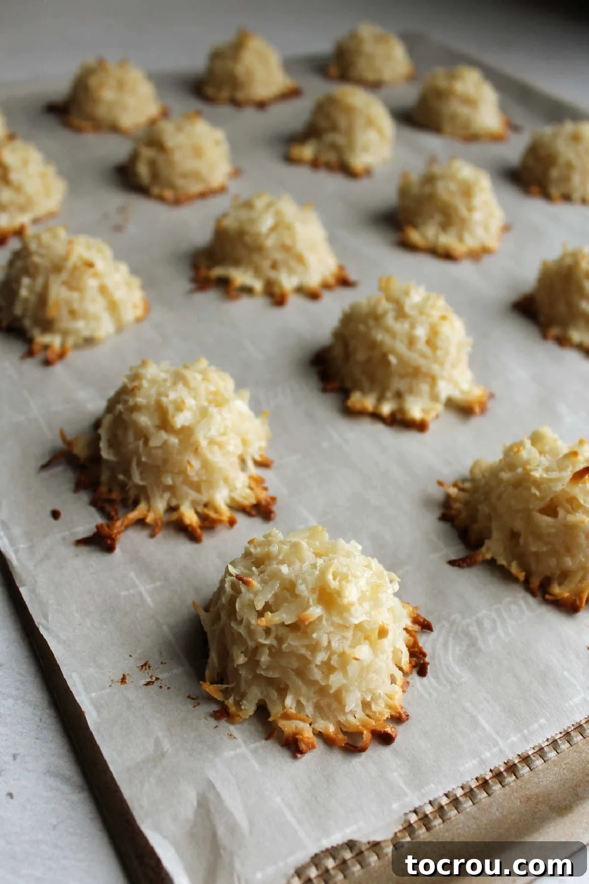 Irresistible Condensed Milk Coconut Bites 5 Golden brown coconut macaroons on parchment lined cookie tray fresh from the oven.