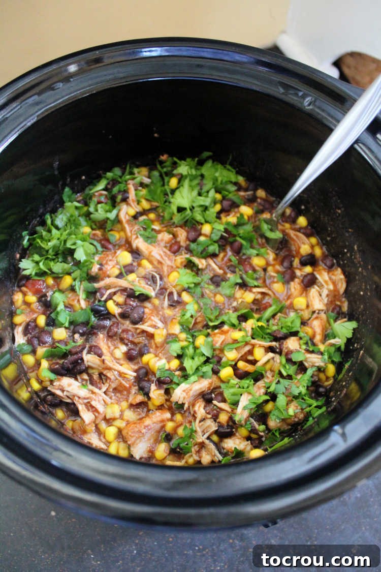 A crock pot brimming with fully cooked and shredded salsa chicken, mixed with tender black beans, sweet corn, and garnished with fresh cilantro, ready to be served.