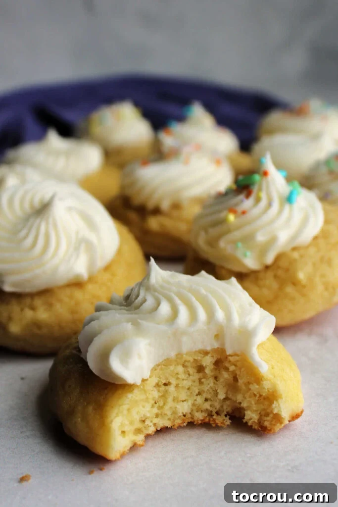 Perfectly Baked Soft Sour Cream Cookie A soft sour cream cookie with a bite taken out, revealing its airy and tender middle texture.