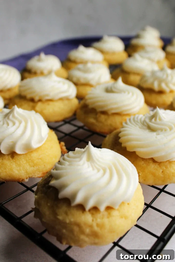 Beautifully Frosted Sour Cream Vanilla Cookies Thick, fluffy vanilla sour cream cookies generously topped with elegant swirls of bright white buttercream frosting.