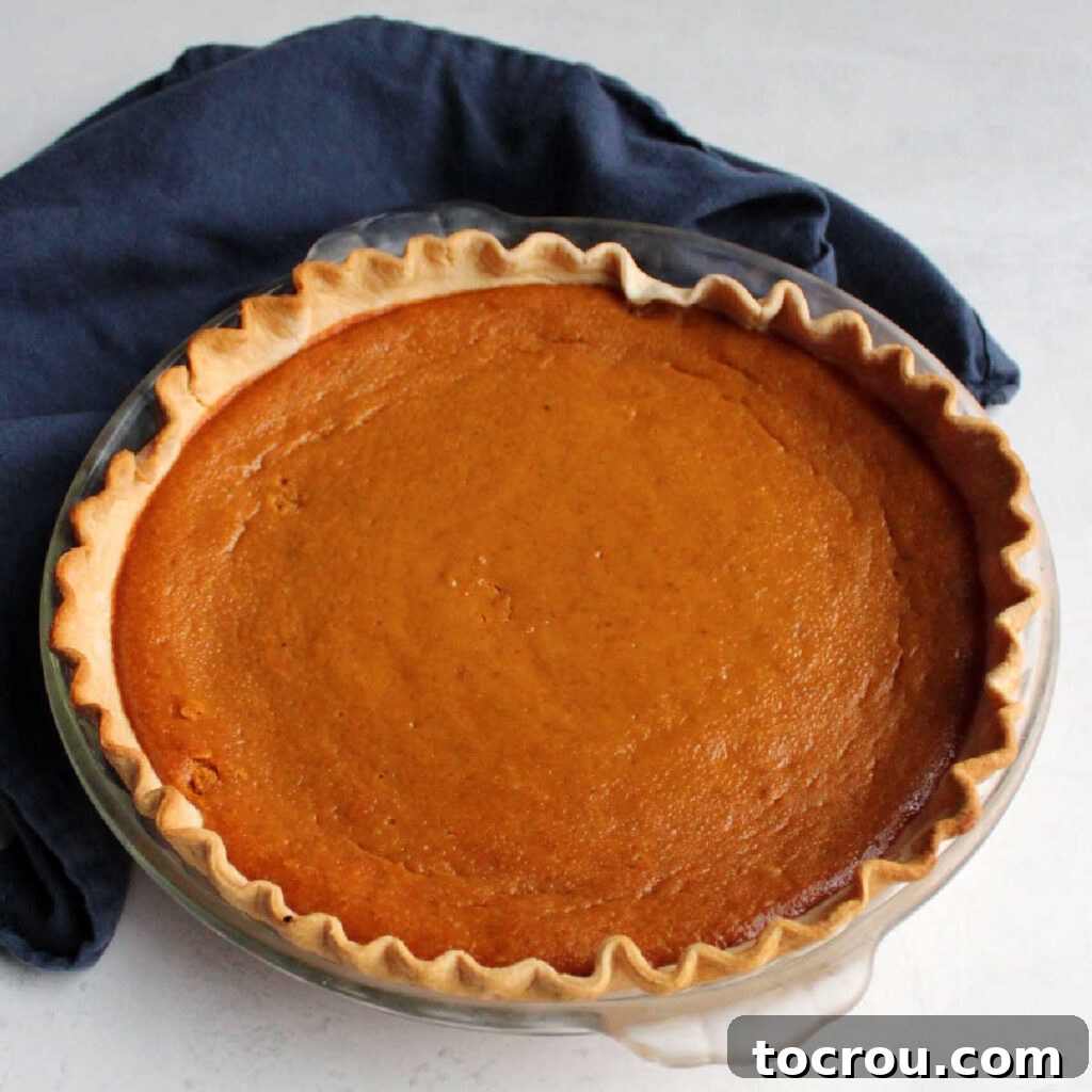 The Golden Perfection of a Whole Pumpkin Pie A perfectly baked whole pumpkin pie, showcasing its smooth, inviting surface and golden crust, made effortlessly with sweetened condensed milk.