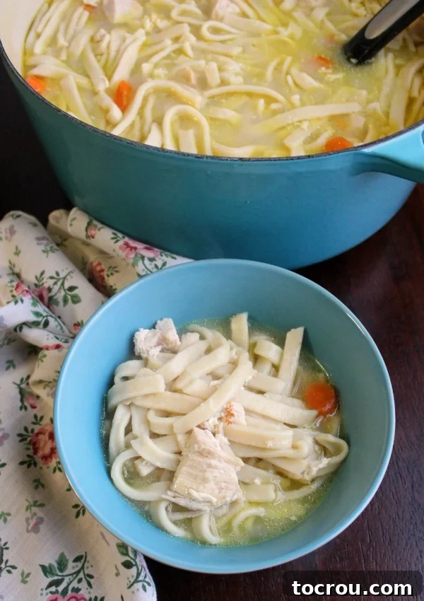 pot of chicken and noodles with homemade egg noodles