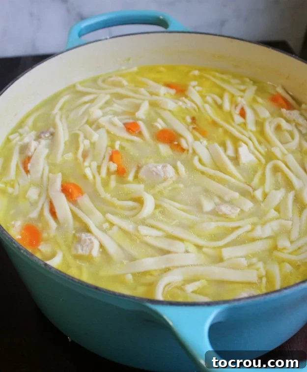 dutch oven full of chicken and noodles.