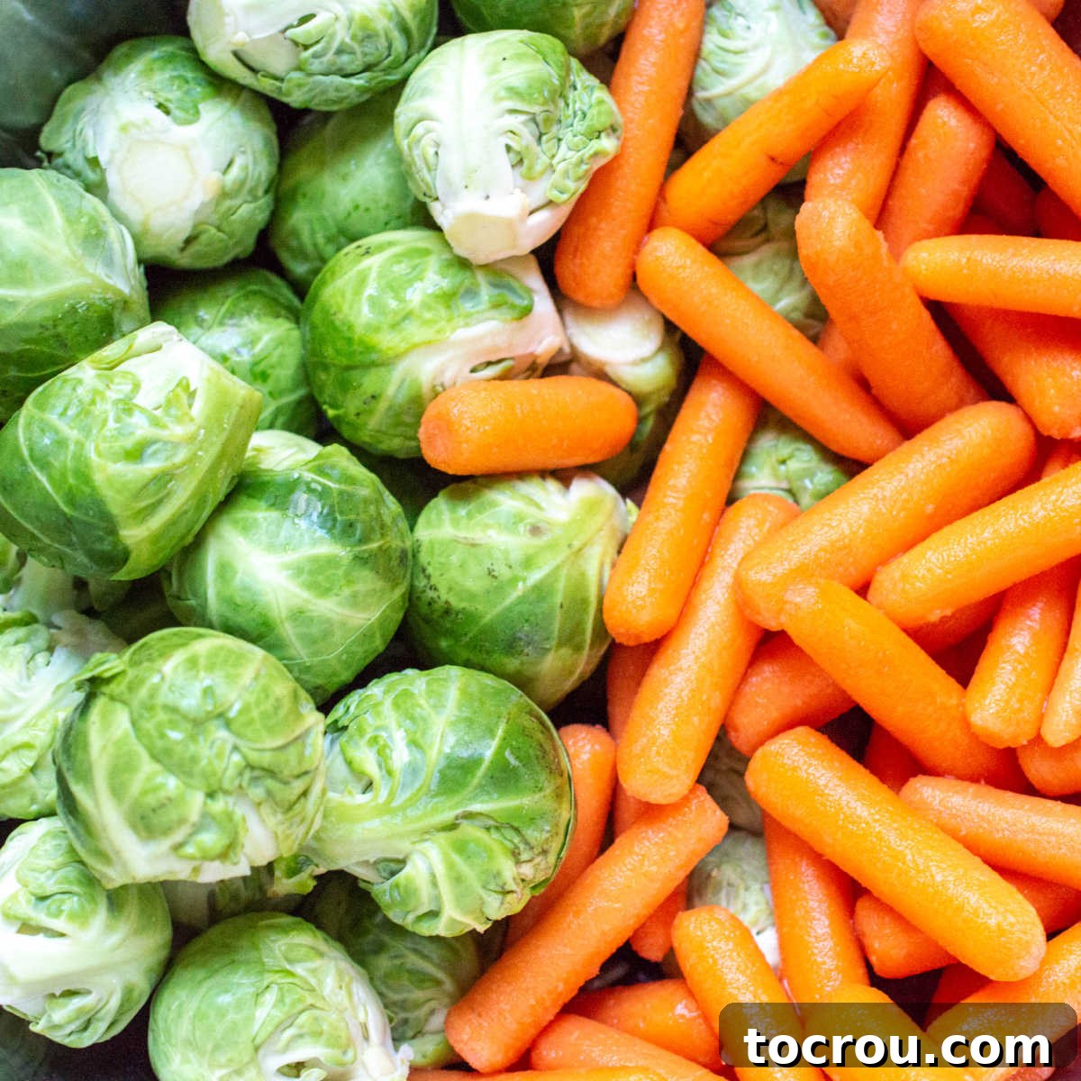 Fresh Brussels Sprouts and Carrots Fresh, vibrant Brussels sprouts and crisp carrots laid out side-by-side, awaiting preparation.
