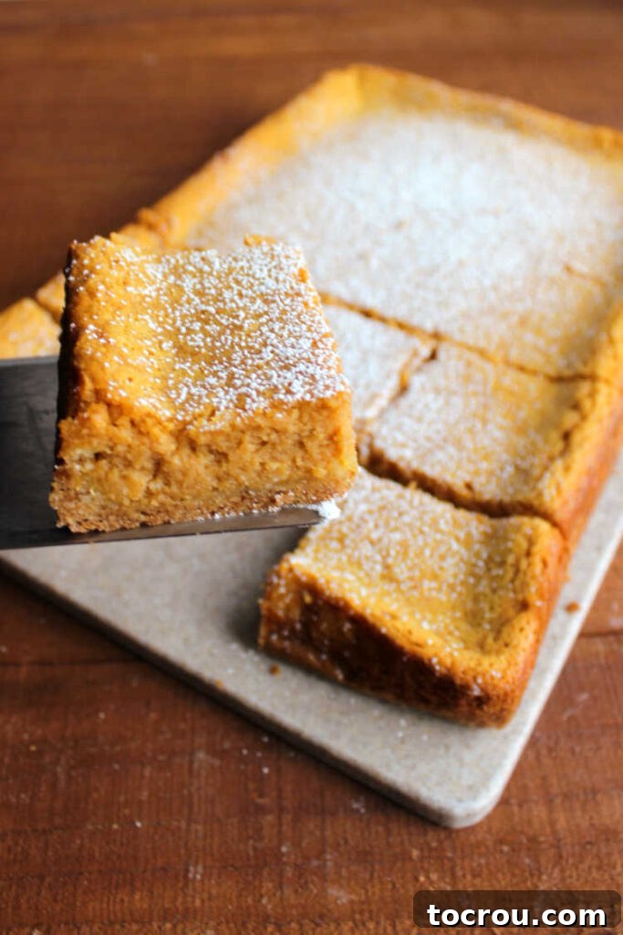 Ooey Gooey Pumpkin Butter Cake 9 A square of creamy pumpkin and cream cheese cake bars being carefully lifted from the pan, showing off its rich, dense texture and golden brown crust.