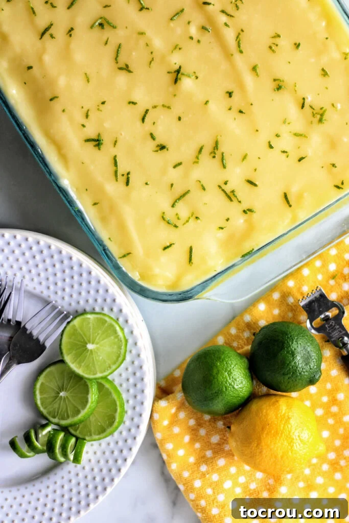 Top of lime sherbet bars with lime curd and zest on top.