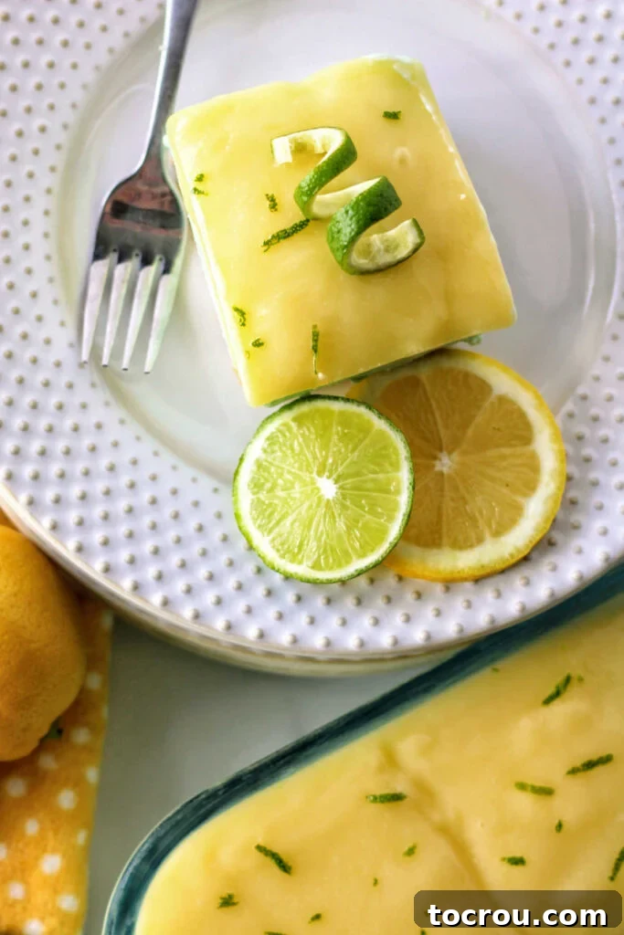 lime sherbet bar with lemon and lime slices on small plate, ready to eat.