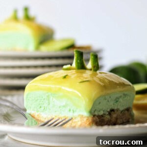 Layered frozen lime sherbet bar with lime curd topping and a lime twist on top, ready to eat.
