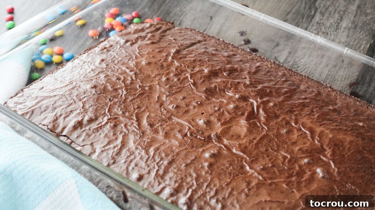Triple Layer Peanut Butter Graham Brownies 3 pan of brownies fresh from the oven.
