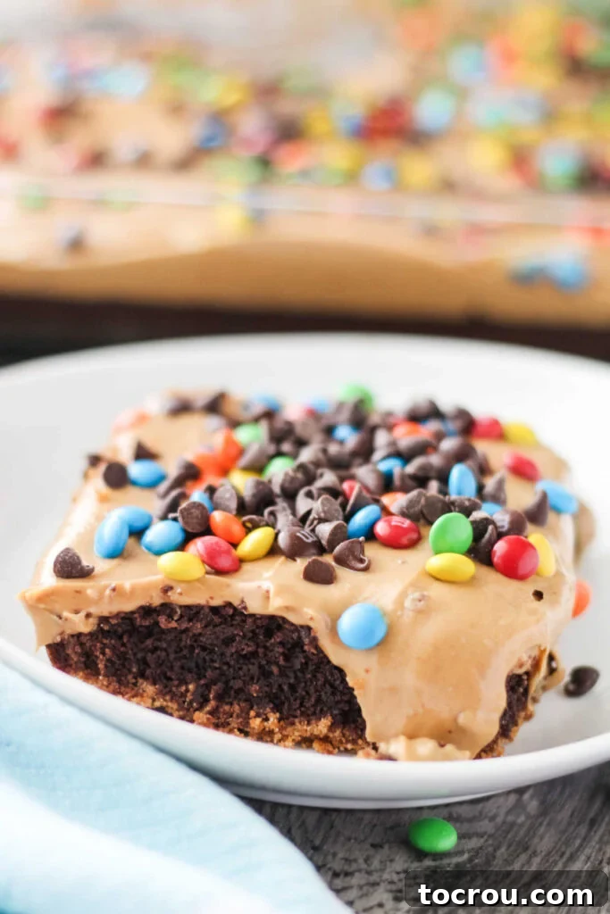 Triple Layer Peanut Butter Graham Brownies 5 Piece of layered monster brownies with graham cracker crust, brownie middle, and peanut butter and candy on top.