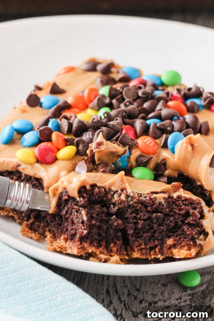 Triple Layer Peanut Butter Graham Brownies 6 Close layered brownie with graham cracker bottom, brownies, peanut butter and candy on top.