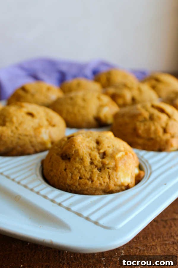 pumpkin muffins in cupcake tin fresh from oven.