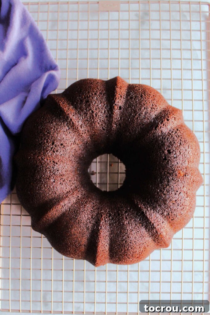 Chocolate bundt cake cooling on wire rack.