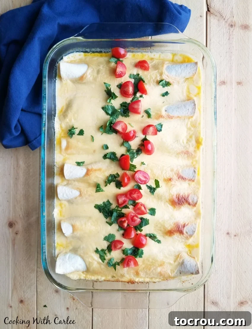 Pan of enchiladas with creamy sour cream cheese sauce, generously topped with fresh tomatoes and cilantro, ready to serve.