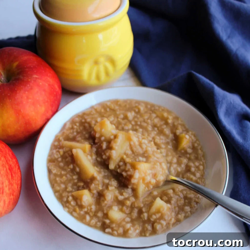 Apple Cinnamon Steel Cut Oats 2 Steel cut oatmeal with apples, cinnamon and apple cider.