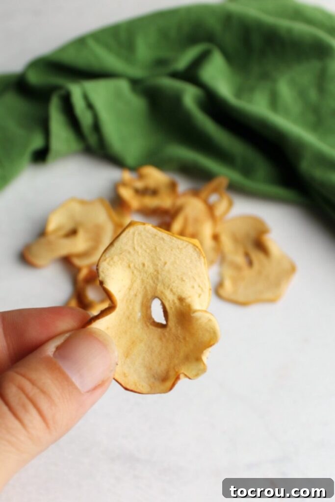 Wholesome Oven-Baked Apple Crisps 6 Hand holding up a homemade apple chip with more apple chips in background.