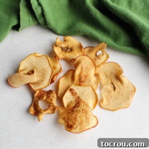 Pile of homemade oven baked cinnamon sugar apple chips.