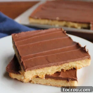 Two perfectly stacked toffee cookie bars with chocolate topping, ready for a bite.