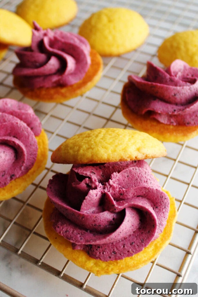 swirls of blueberry frosting piped on lemon whoopie pie halves.