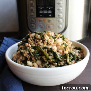 A beautiful bowl of farro with kale, Italian sausage, white beans, and Parmesan cheese, served with an Instant Pot in the background.