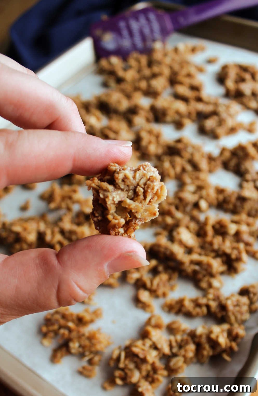 hand holding cluster of peanut butter granola.