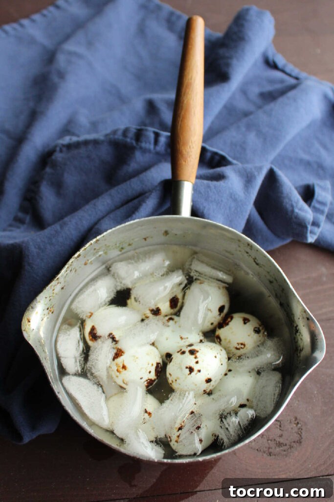 A small saucepan filled with icy water, holding freshly boiled quail eggs, essential for stopping the cooking process and aiding in peeling.