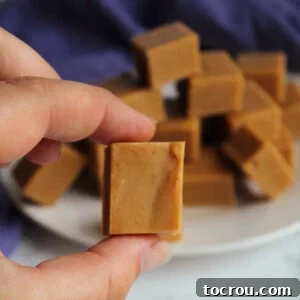 Hand holding square of peanut butter fudge.