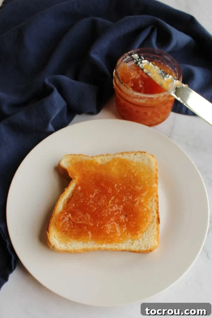 Strawberry Zucchini Jam on Toast A close-up of strawberry zucchini jam lavishly spread over a slice of golden-brown toast.