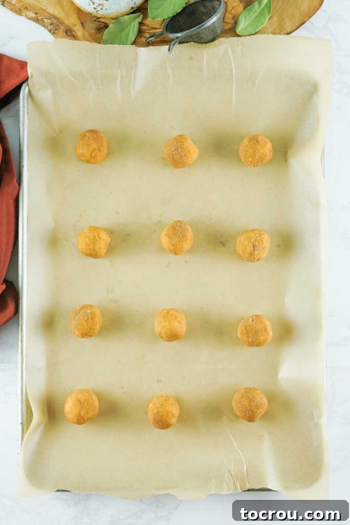 Autumn Pumpkin Snickerdoodles 4 Perfectly rounded balls of pumpkin snickerdoodle dough, coated in sugar and spice, arranged on a baking sheet, awaiting their turn in the oven.