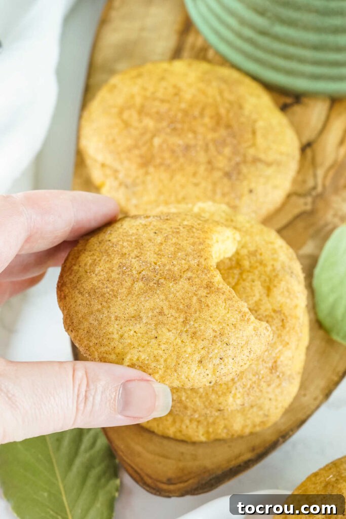 Autumn Pumpkin Snickerdoodles 5 A hand holds a freshly baked pumpkin snickerdoodle cookie with a bite taken out, showing its soft interior and spiced coating.