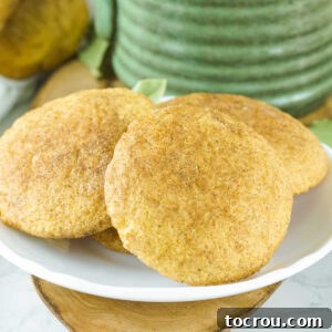 Plate of pumpkin snickerdoodles with pumpkin spice and sugar coating on the outside.