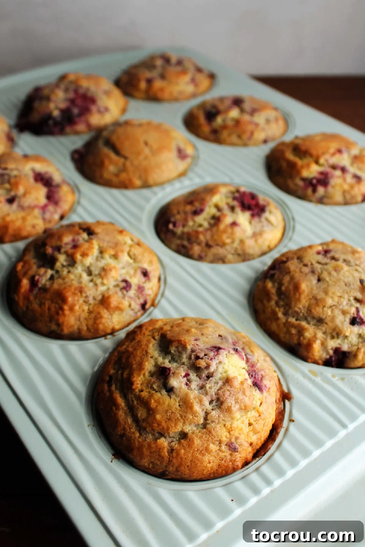 A muffin pan filled with freshly baked blackberry sour cream muffins, golden and rising.