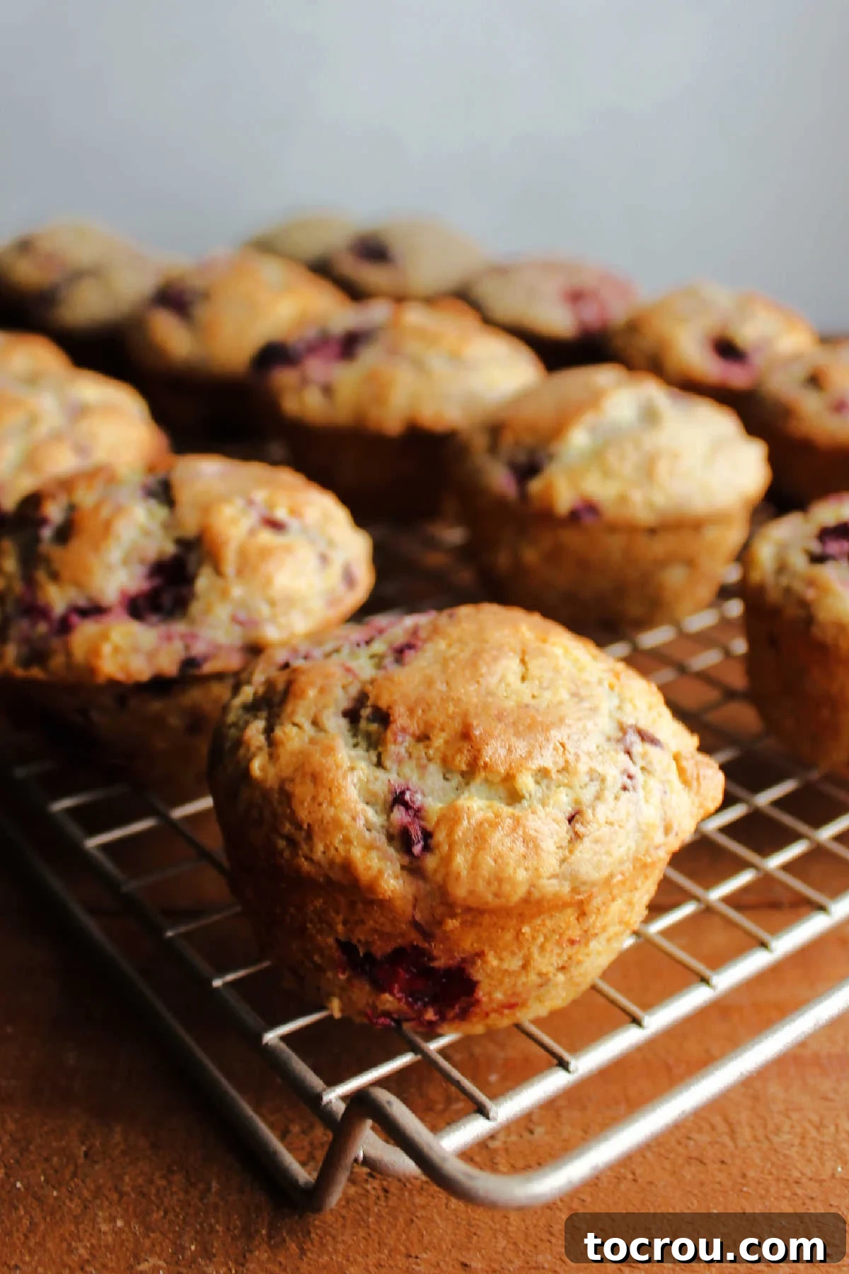 Blackberry sour cream muffins cooling on a wire rack after baking.