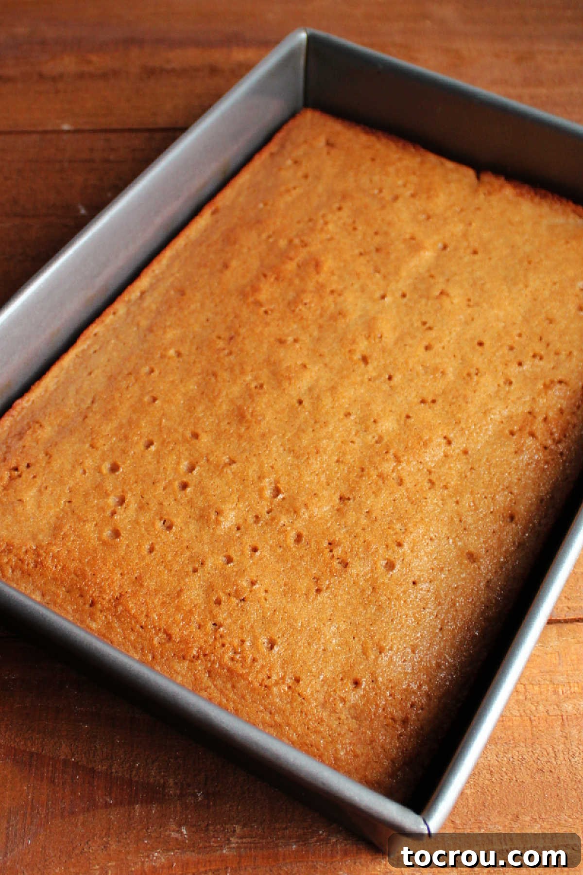 Spiced Applesauce Bars with Tangy Cream Frosting 4 Freshly baked applesauce bars in pan, ready for frosting.