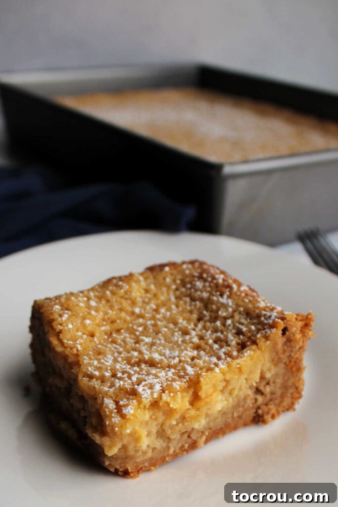 Apple Gooey Butter Cake Presentation A charming close-up of a slice of apple gooey butter cake resting on a plate, with the rest of the cake in the background.