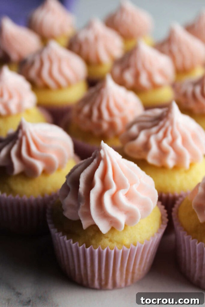 Mini cupcakes with dollops of fluffy pink lemon frosting on top.