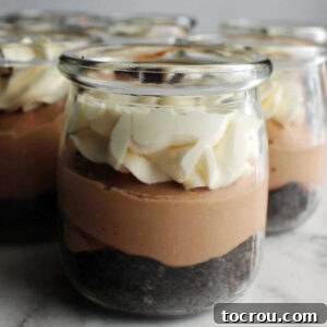 Small glass jar with layers of chocolate crumb crust, creamy chocolate middle, and piped ruffly white topping with mini chocolate chips.