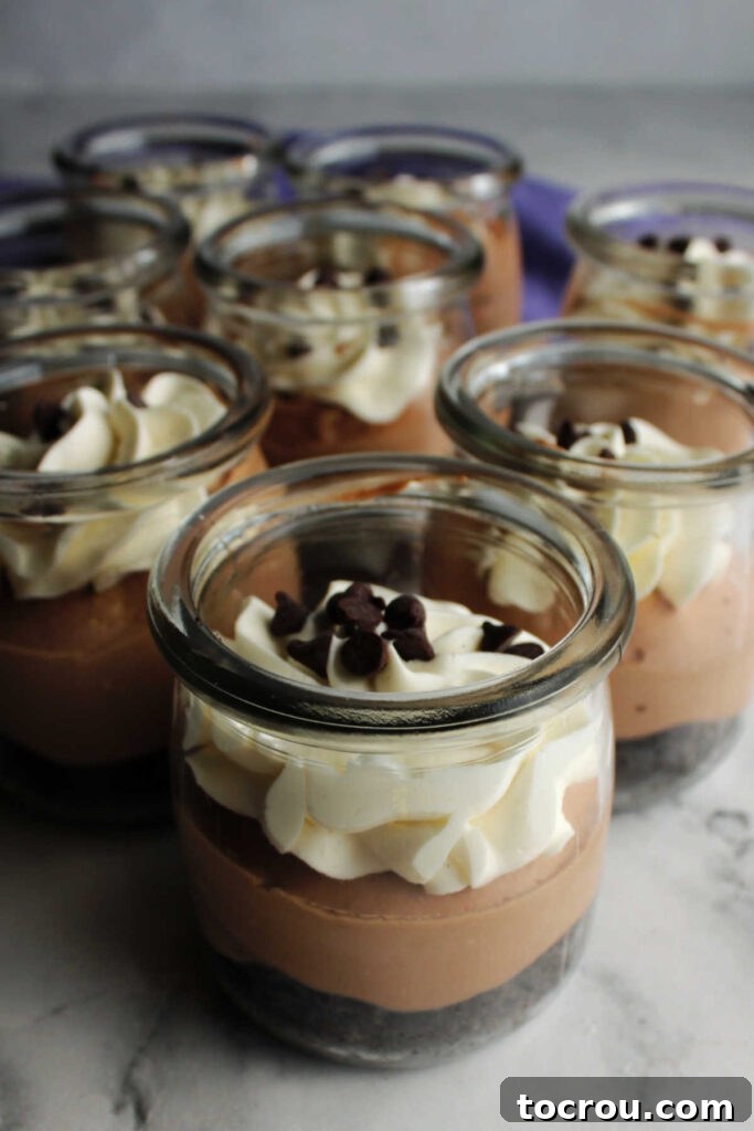 Collection of glass jars filled with layers of chocolate cheesecake and fluffy whipped cream, ready for serving.